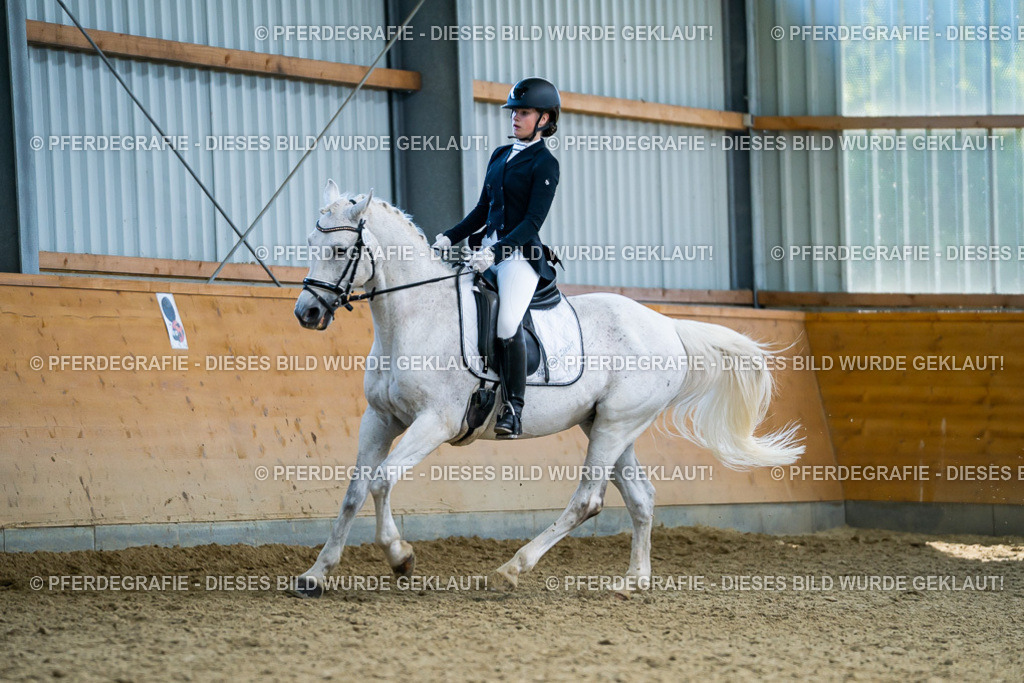 DSC05556 | Pferdegrafie