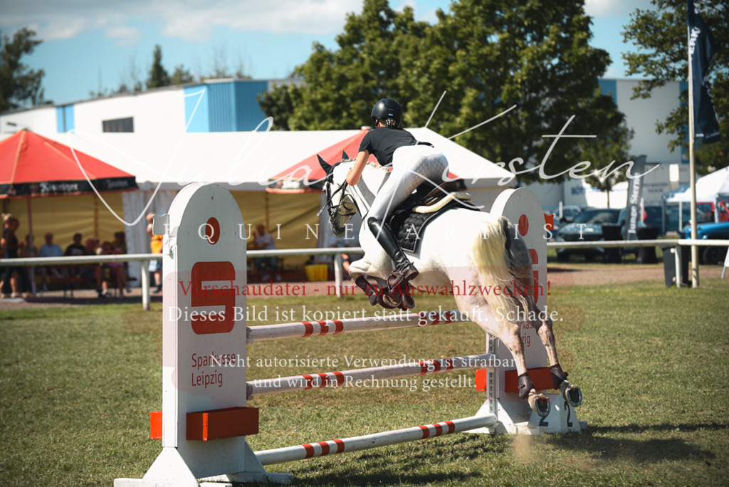DSC_6882 | Pferde- und Turnierfotografie in Westsachsen. Pferdeportraits, Auftragszeichnungen und intuitive Kunst.