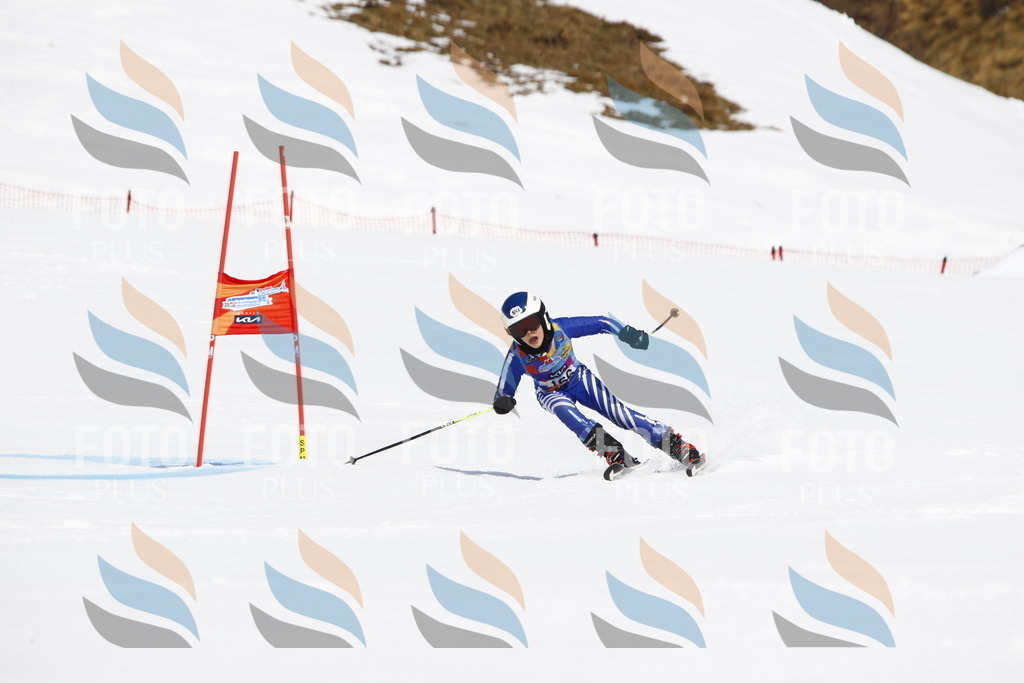 _U3G4451 | holidayphoto