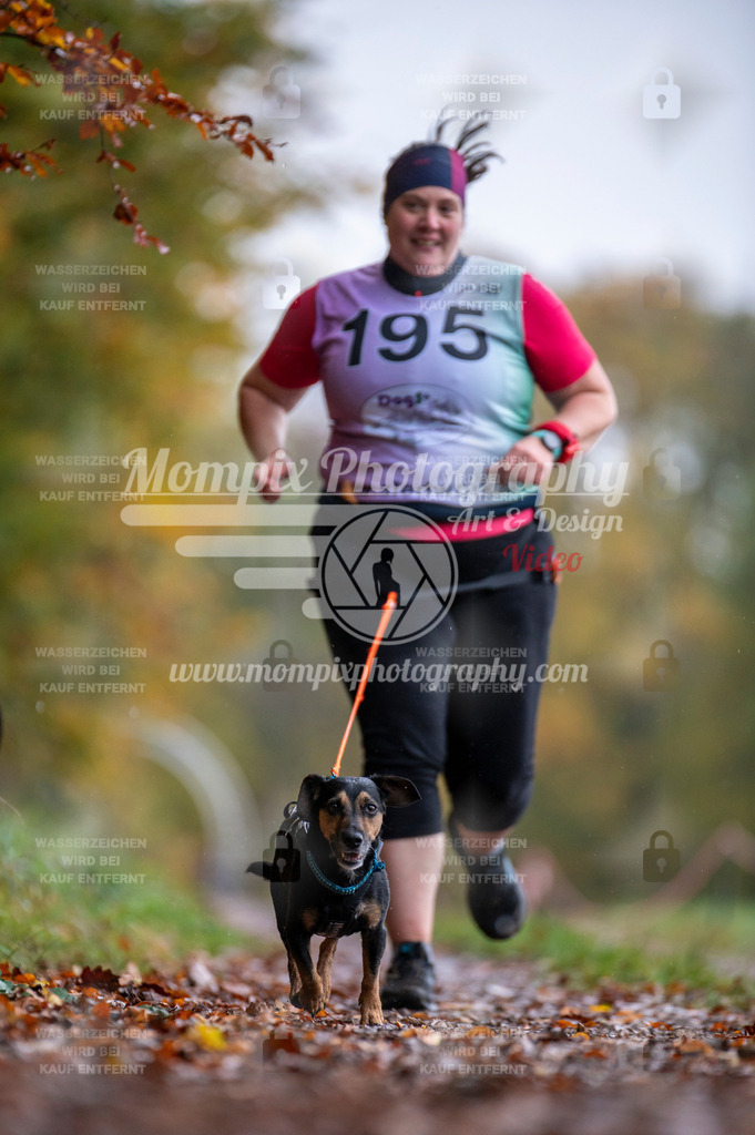 DBT_DAKM_SA_4_11_2023_Canicross-77 | PayLife