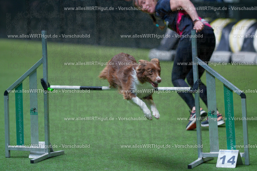 @allesWIRTHgut_Tierfotografie - www.allesWIRTHgut.de - 2604261526-7R505600 | Professionelle Tierfotografie in Mönchengladbach von Daniel Wirth (allesWIRTHgut). Liebevolle & natürliche Bilder von Hunden & Katzen für unvergessliche Erinnerungen.