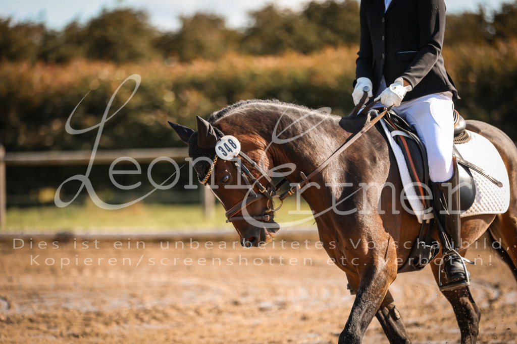 07.SoDrE00015 | Leoni Ertmer Photography - Realisiert mit Pictrs.com