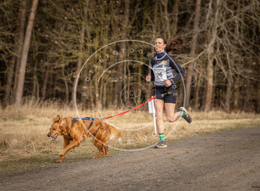 DV3A4098 | Hundefotografie, Tierfotograf, Pfotenfotografie, Fotoshooting Hund, Hunde Portrait, Hundesport, Hundeportraits, Heideshooting, Hunde, Sportfotograf, Hundefotograf, Turnierhundsport, THS,  - Realisiert mit Pictrs.com