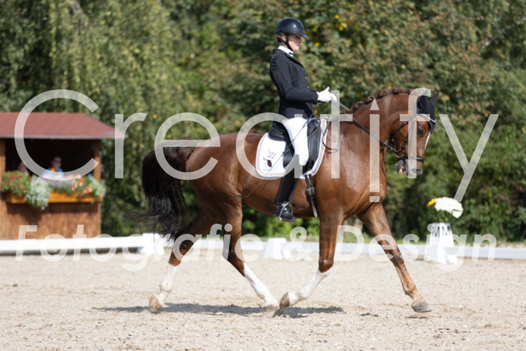 IMG_3703 | Creatify Fotografie