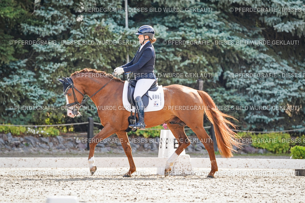 DSC06444 | Pferdegrafie