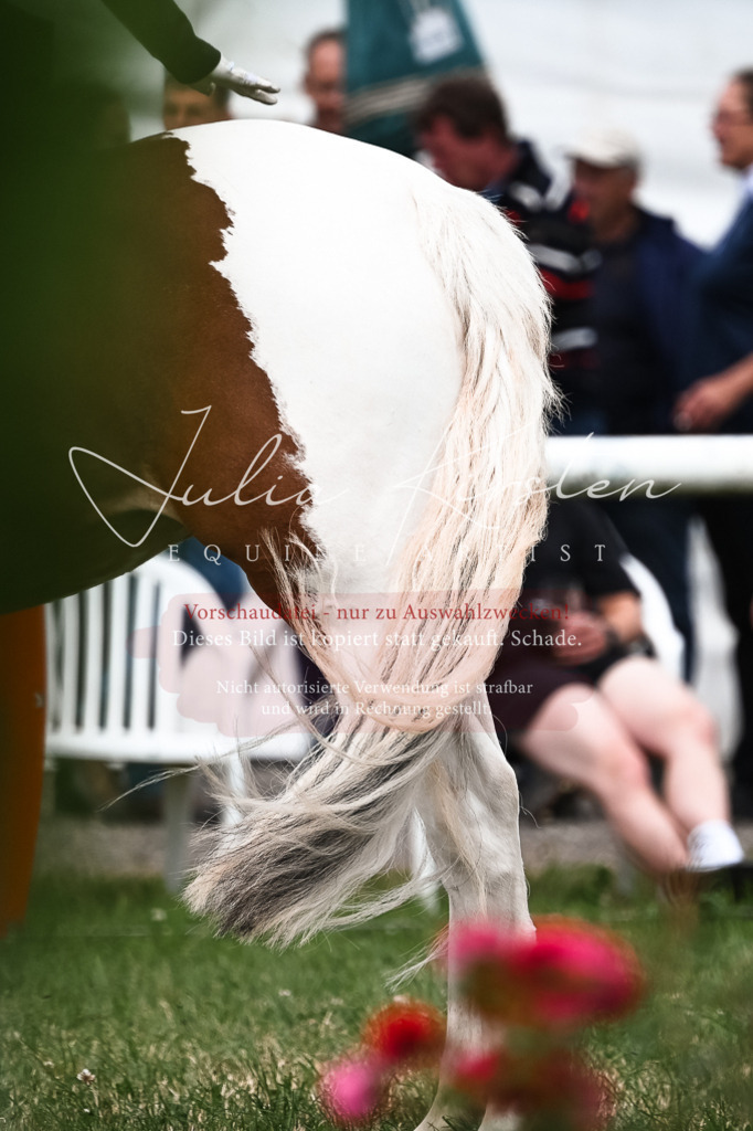 DSC_9336 | Pferde- und Turnierfotografie in Westsachsen. Pferdeportraits, Auftragszeichnungen und intuitive Kunst.