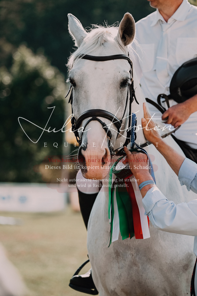 DSC_4919 | Pferde- und Turnierfotografie in Westsachsen. Pferdeportraits, Auftragszeichnungen und intuitive Kunst.