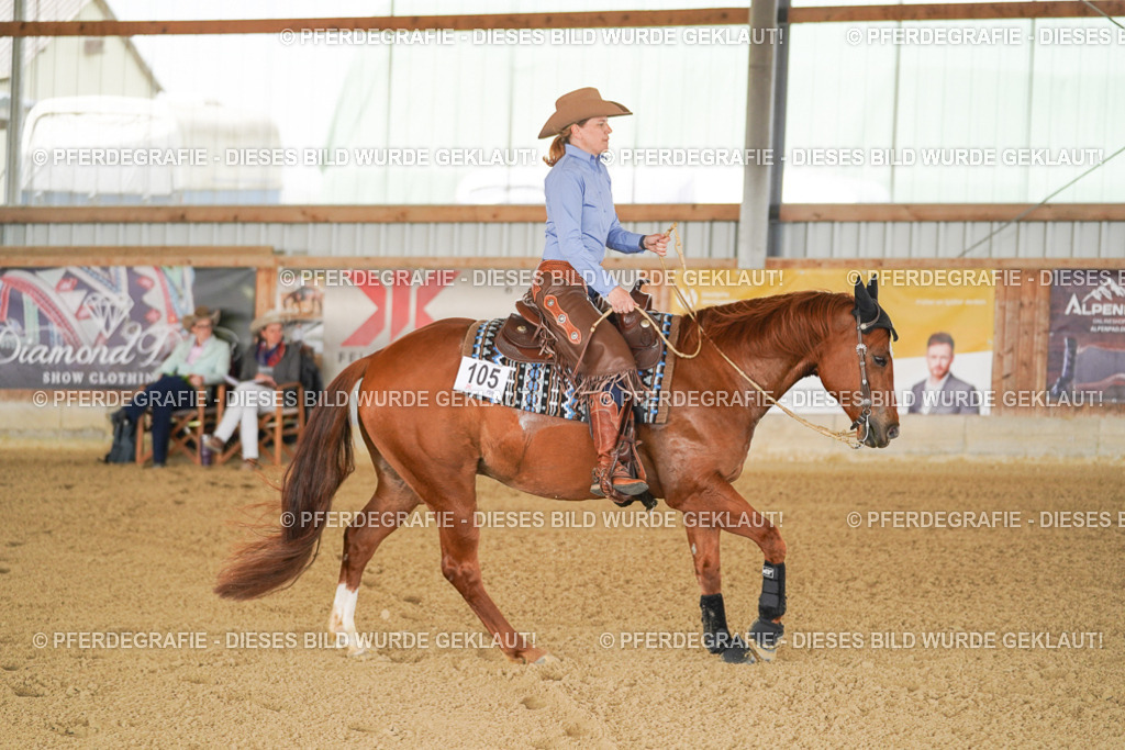 DSC02577 | Pferdegrafie