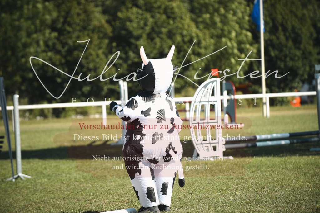 DSC_7734 | Pferde- und Turnierfotografie in Westsachsen. Pferdeportraits, Auftragszeichnungen und intuitive Kunst.