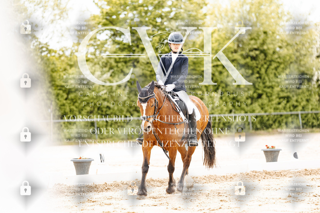 CK902710 | Turnierfotografie Pferdefotografie Trier Rheinland-Pfalz Pferdesport Reitsport Tierfotografie Sportfotografie Pferdevideo Pferdevideografie Equestrianvideography equestrianphotography  - Realisiert mit Pictrs.com