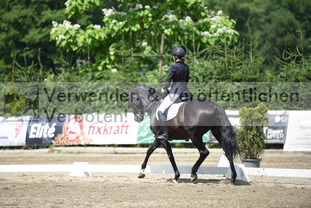 DSC_9010 | equestrian-live-com