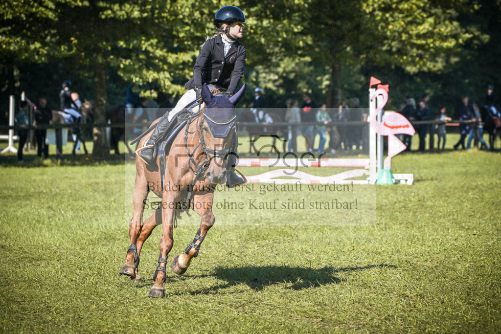 DOS_0473 | Entdecke hochwertige Reitturnierfotos von Foto Oger. Professionell, emotional und authentisch – jetzt Lieblingsmomente im Shop bestellen.Deutschlandweite Turnierfotografie. - Realisiert mit Pictrs.com