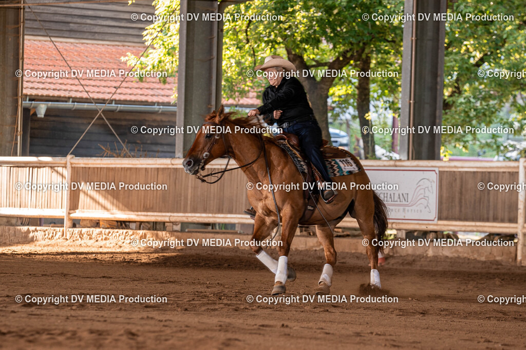 Erbach Tag 2-1125 | dv-media-shop - Realisiert mit Pictrs.com