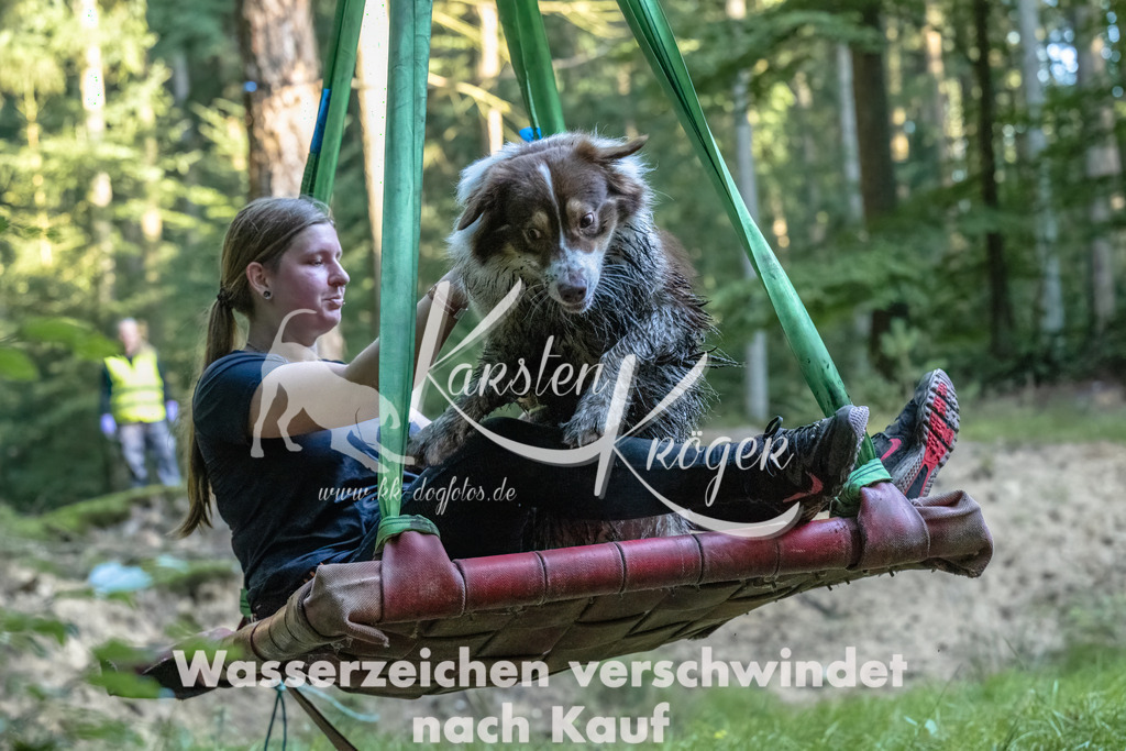 0914_ZZ90706-Bearbeitet | kk-dogfotos
