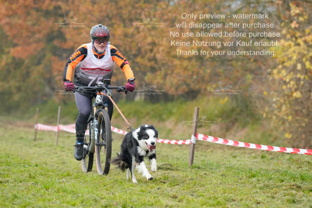 Visbeck_Sa_Bike-222 | stephaniefillaphotographie - Realisiert mit Pictrs.com