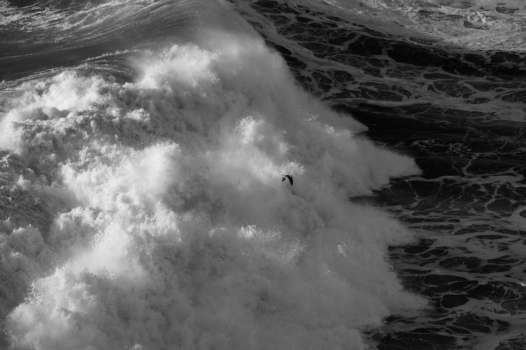 Welle | Welle in Nazaré