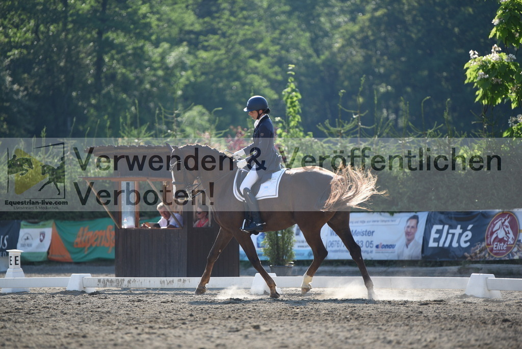 DSC_2971 | equestrian-live-com