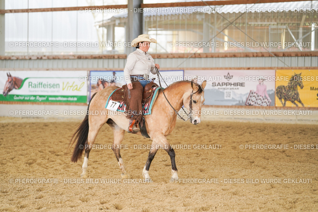 DSC01817 | Pferdegrafie