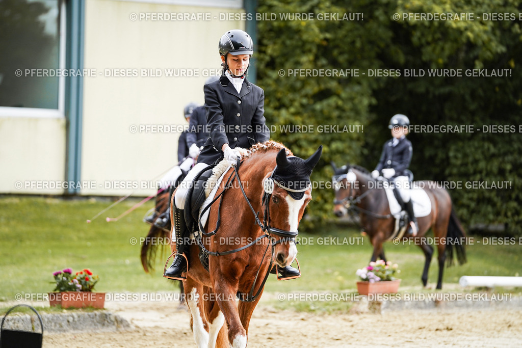 DSC05061 | Pferdegrafie