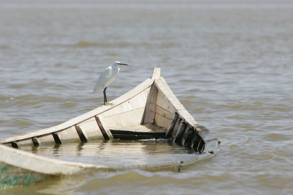 Turkaner See Kenia | BILDER AN DIE WAND                                                verschönern sie ihr Büro, ihre Praxis oder ihre viel Wände zu Haus  - Realisiert mit Pictrs.com
