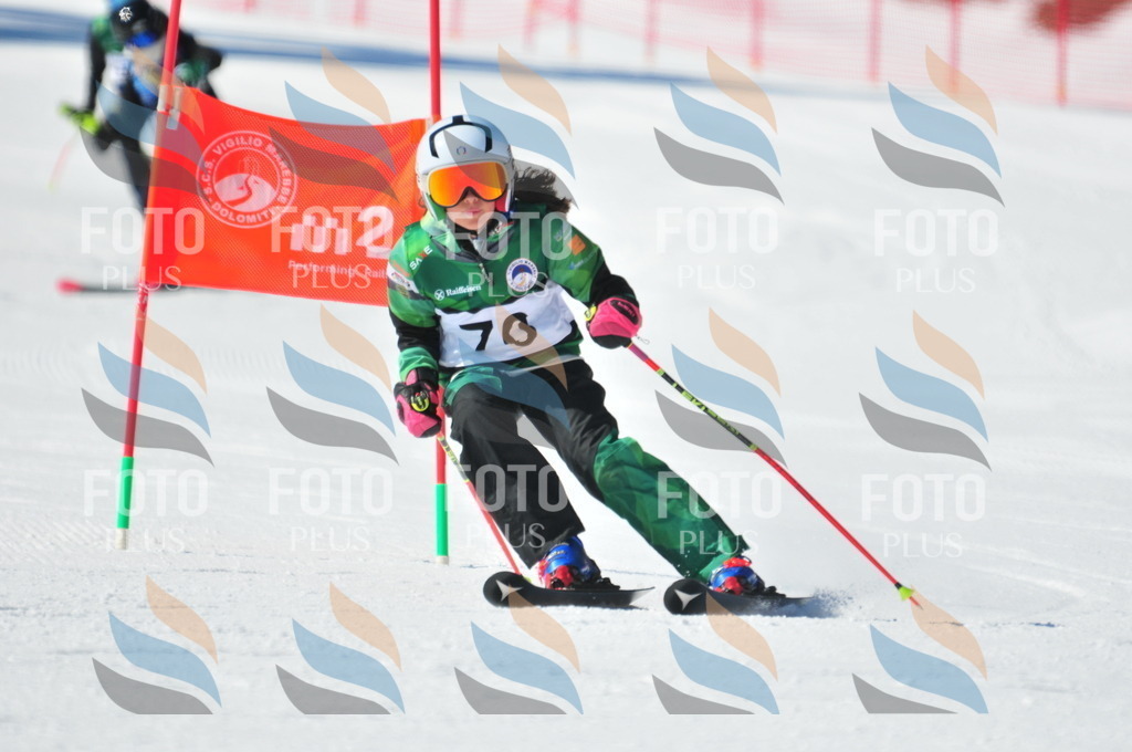 C3018 | holidayphoto