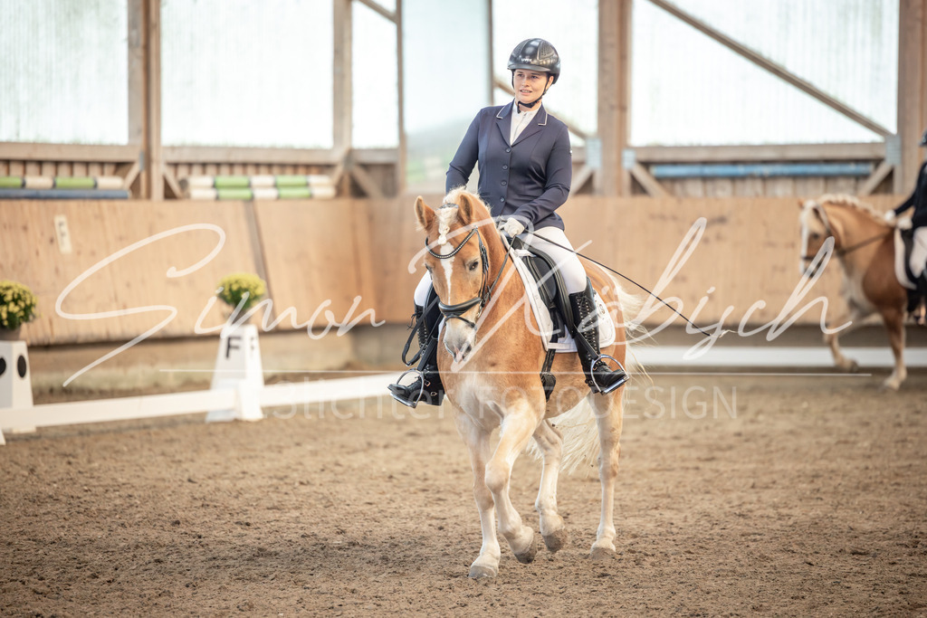 20251011-_3LI6515 | Tierfotografie Pferde, Hunde, Katzen, Haustiere.
Turnierfotografie Reitturniere, Reiten, Springreiten, Dressur in Hanau, dem Main-Kinzig-Kreis und dem Rhein-Main- Gebiet um Frankfurt