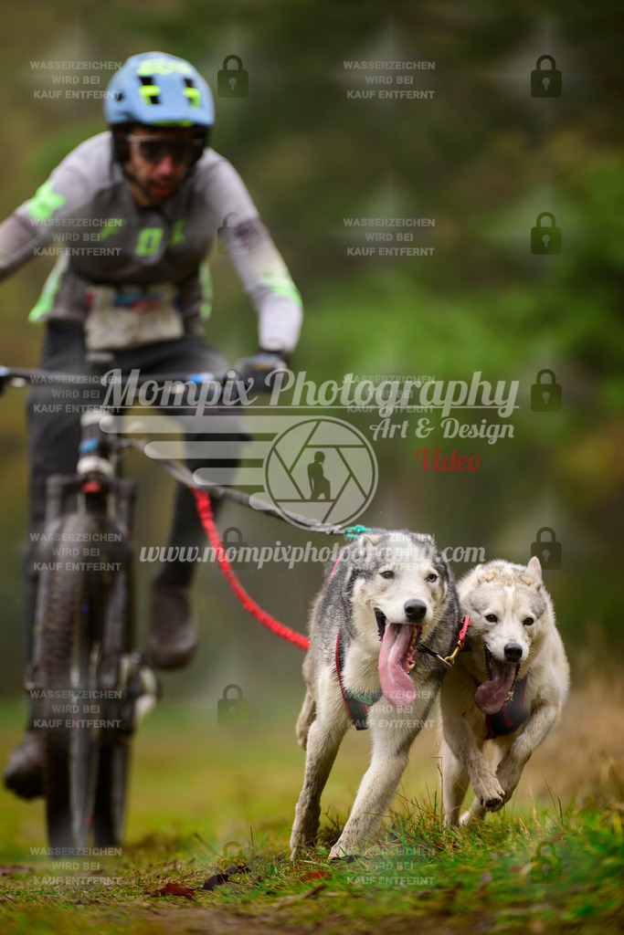 MompixPhotography_Bischwiller2025_Bike-115 | mompixphotography