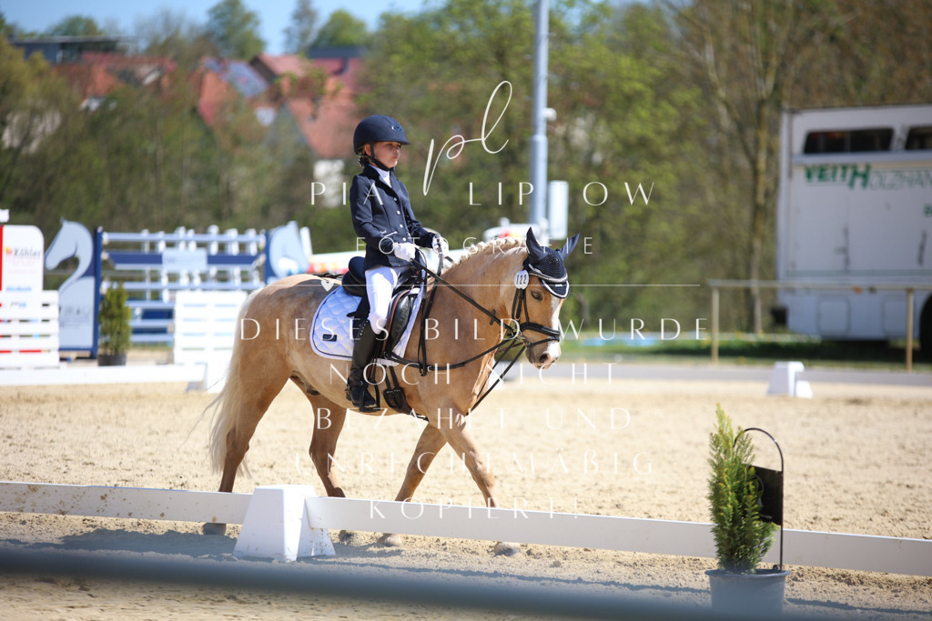 IMGT1325 | pl-fotografie