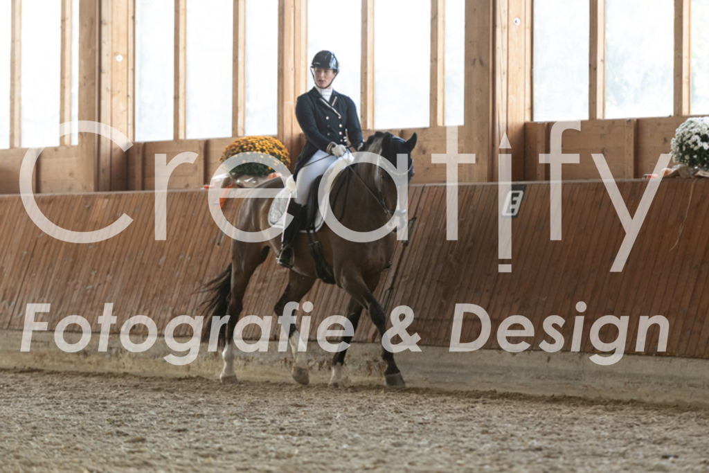 IMG_3812 | Creatify Fotografie