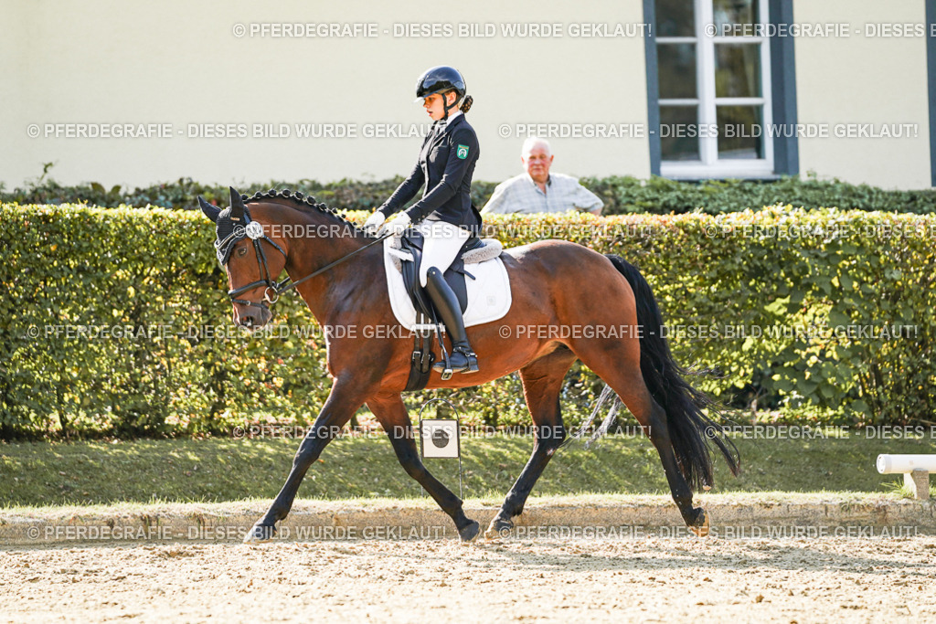 DSC07172 | Pferdegrafie