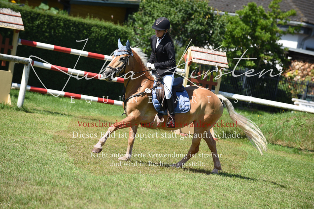 DSC_9324 | Pferde- und Turnierfotografie in Westsachsen. Pferdeportraits, Auftragszeichnungen und intuitive Kunst.