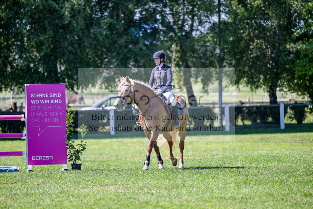 Reitturnier Voxtrup | Entdecke hochwertige Reitturnierfotos von Foto Oger. Professionell, emotional und authentisch – jetzt Lieblingsmomente im Shop bestellen.Deutschlandweite Turnierfotografie. - Realisiert mit Pictrs.com
