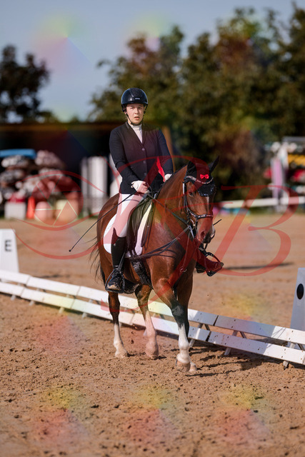 2026_10_03_Siefer-Hof_115807_Z81_00222163 | Professionelle Reitsport-, Turnier- und Eventfotografie von Robert Broda. Galerien mit ausgewählten und bearbeiteten Bildern direkt online ansehen und bestellen.