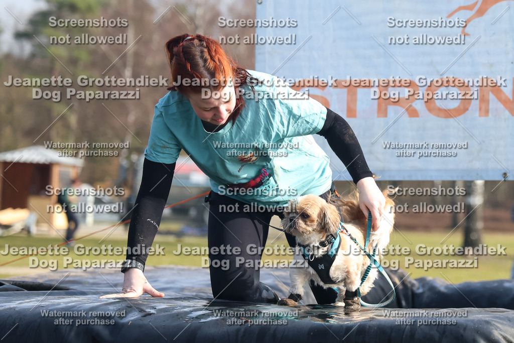 Dog Paparazzi - Strongdog North Mrz26-1562 | Dog Paparazzi Jeanette Grottendiek Fotografie & Videografie - Realisiert mit Pictrs.com