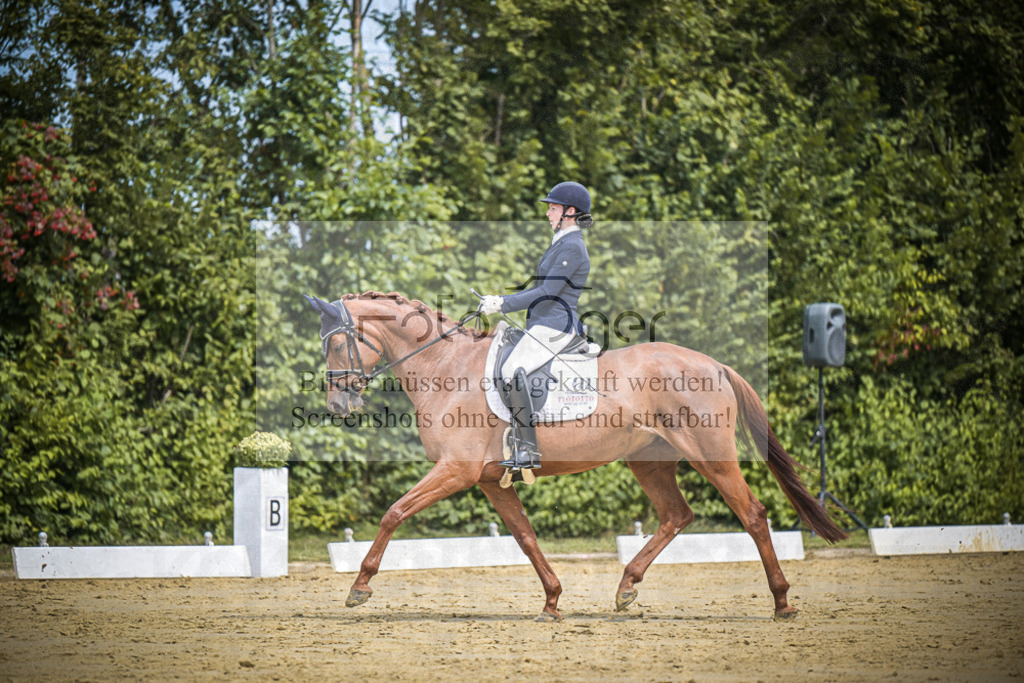 DOS_2514 | Entdecke hochwertige Reitturnierfotos von Foto Oger. Professionell, emotional und authentisch – jetzt Lieblingsmomente im Shop bestellen.Deutschlandweite Turnierfotografie. - Realisiert mit Pictrs.com