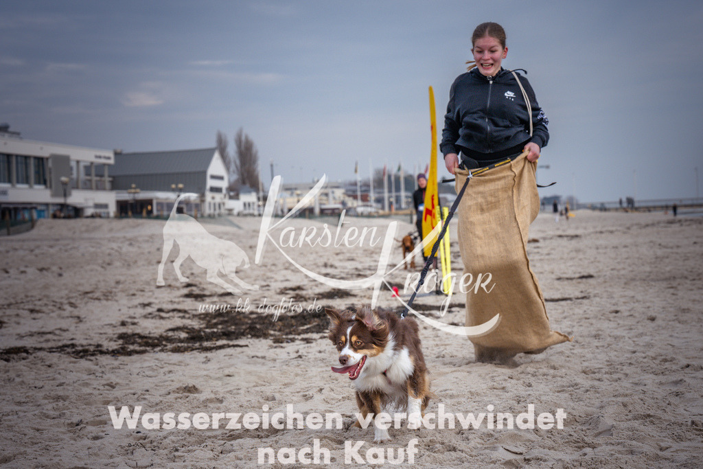 1301_ZZ97785 | kk-dogfotos