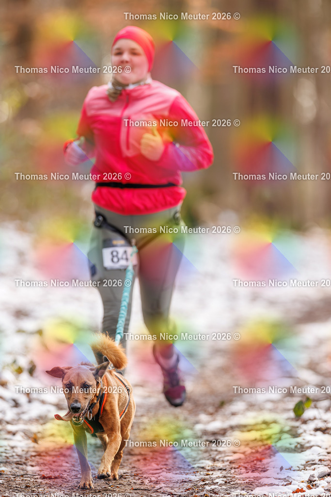 Thomas_Nico_Meuter(C)_223A9160 | Bild von Thomas Nico Meuter - Realisiert mit Pictrs.com