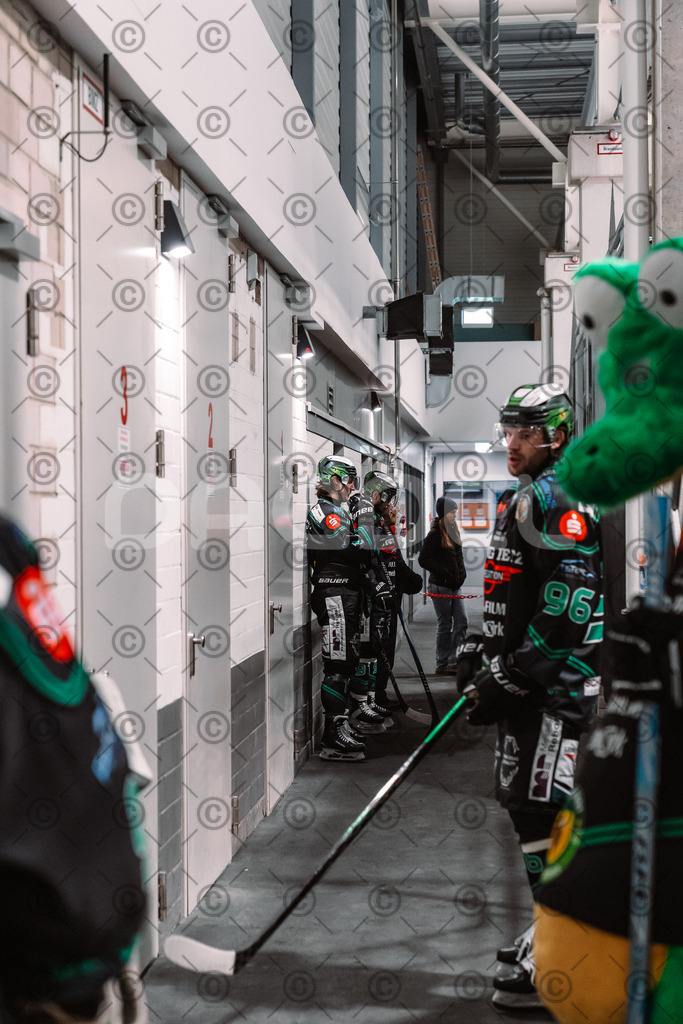 Alligators_vs_Peiting_25_11_2025-07 | Höchstadt Alligators Fotogalerie: Eishockey-Action aus Franken. Professionelle Spielfotos, Portraits & Stadionbilder zum Download. Jetzt entdecken! - Realisiert mit Pictrs.com