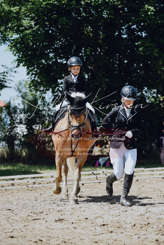 DSC_2528 | Pferde- und Turnierfotografie in Westsachsen. Pferdeportraits, Auftragszeichnungen und intuitive Kunst.