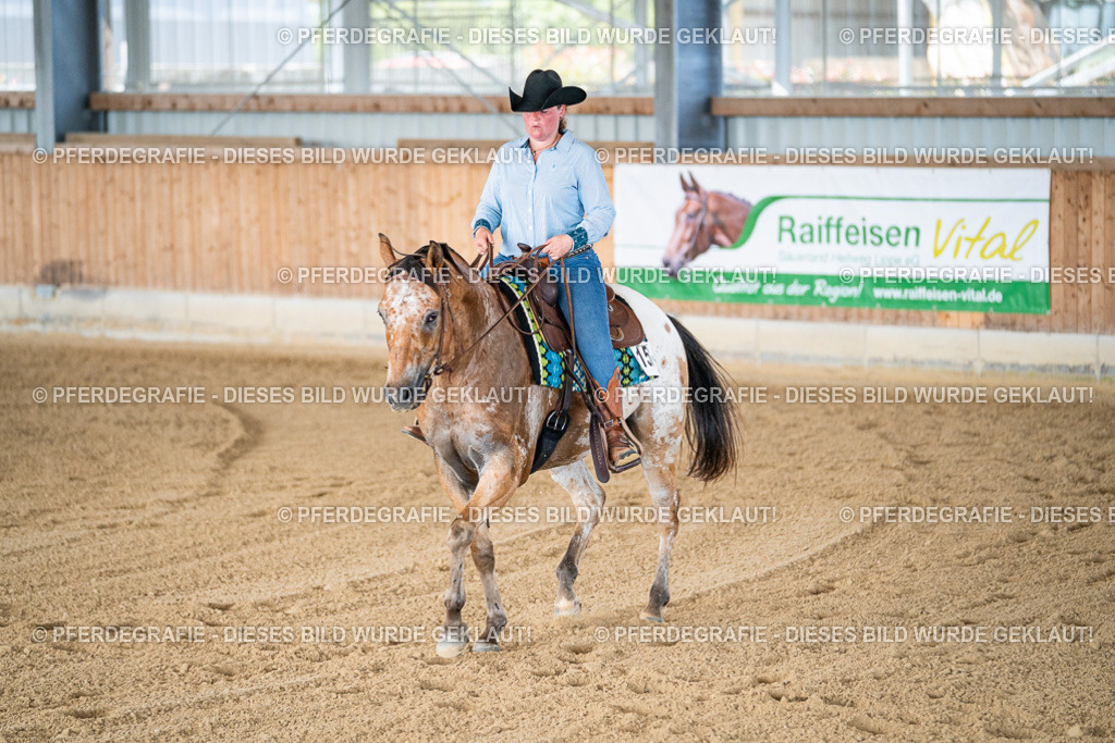 DSC02134 | Pferdegrafie