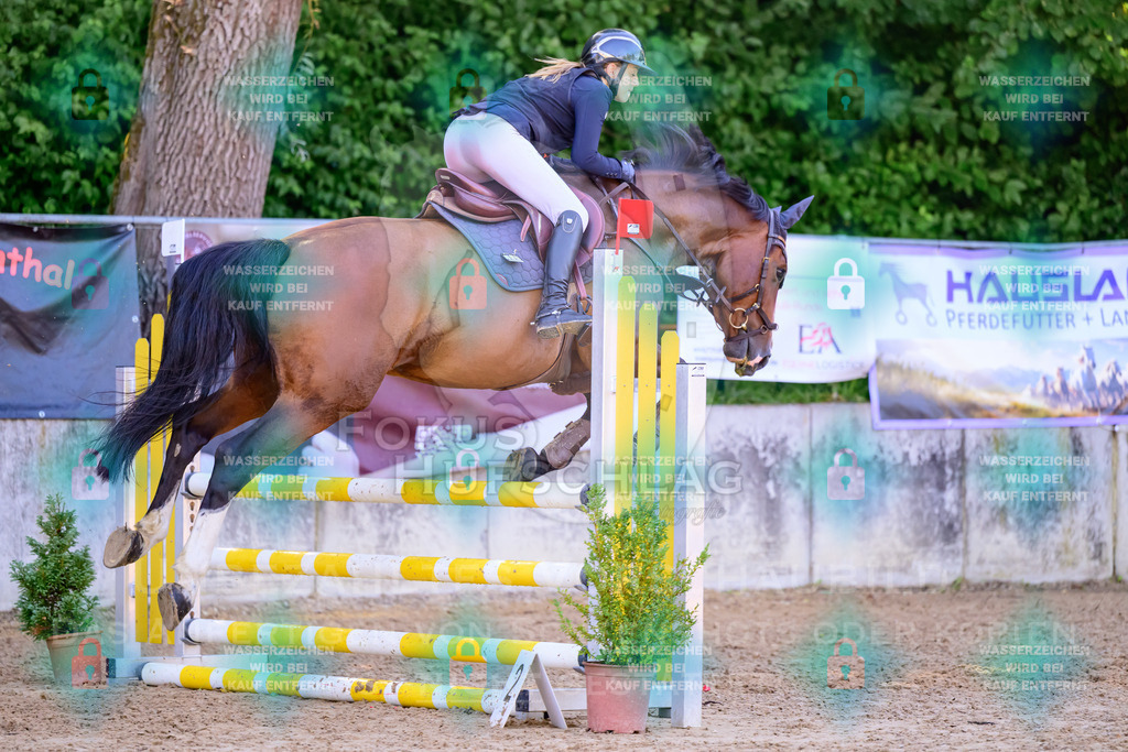 30082026-Giesenbach-Prfg16-0108 | Fokus Hufschlag Fotografie - Realisiert mit Pictrs.com