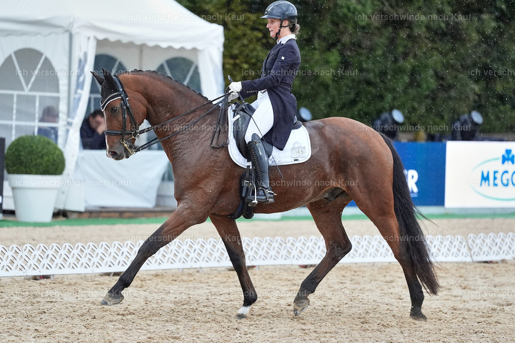 8_2-149-DRESSUR S_  -StoibPH-4472 | working equitationturnier fotograf videograf stoibphotography marixx film working equitation deutschland reitsport turnierfotografie eventfotografie equestrian events