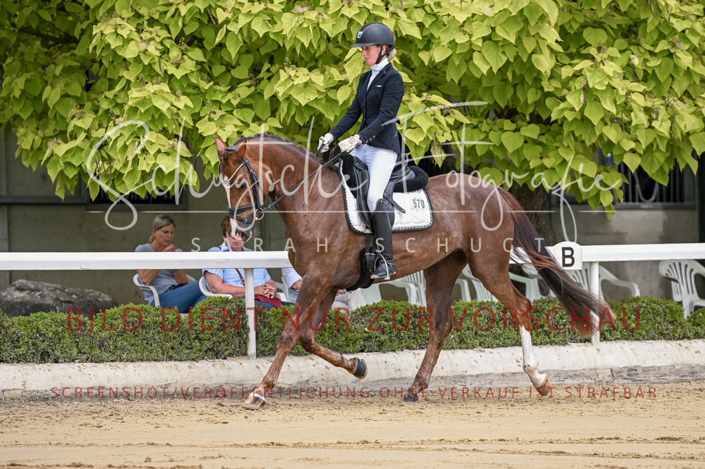 Schugtsche-Aluta25-48.Reitpferfdeprf.-91 | Schugtsche Fotografie - Realisiert mit Pictrs.com