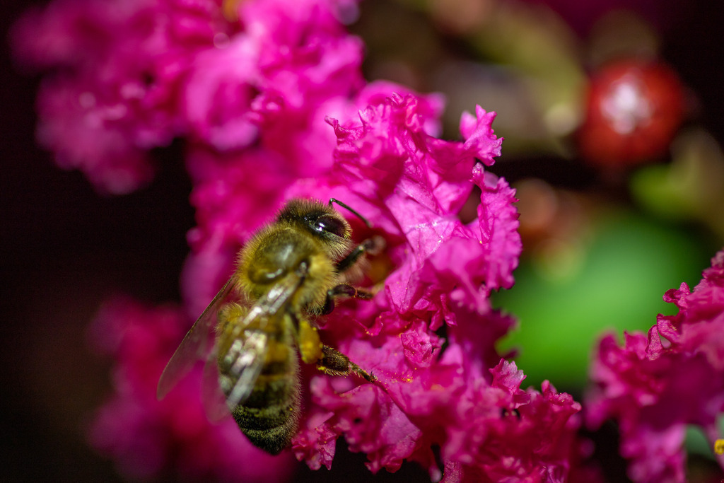 IMG_3732 | ehrlichefotos - Realisiert mit Pictrs.com