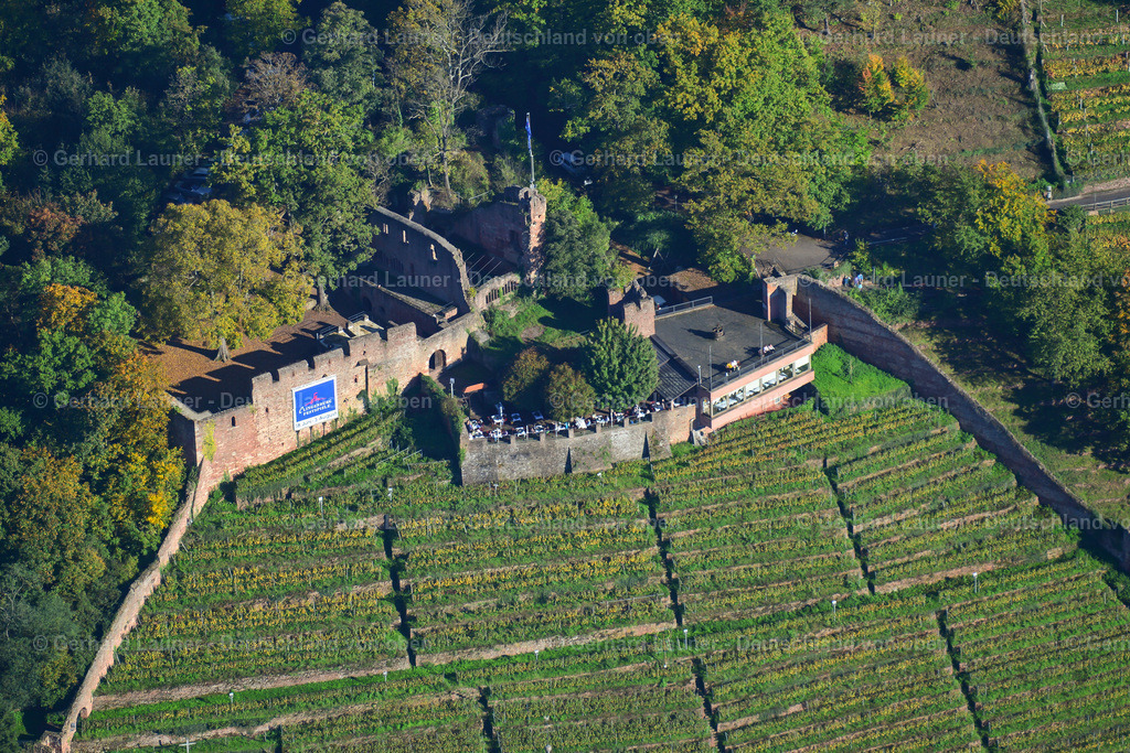 3491147 | Weinberg an der Clingenburg,  Klingenberg