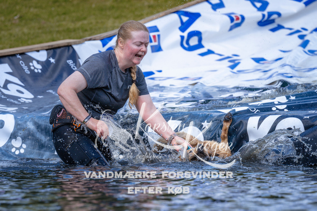 _ZZ996281057 | kk-dogfotos