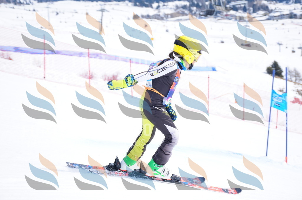 DSC_2890 | holidayphoto