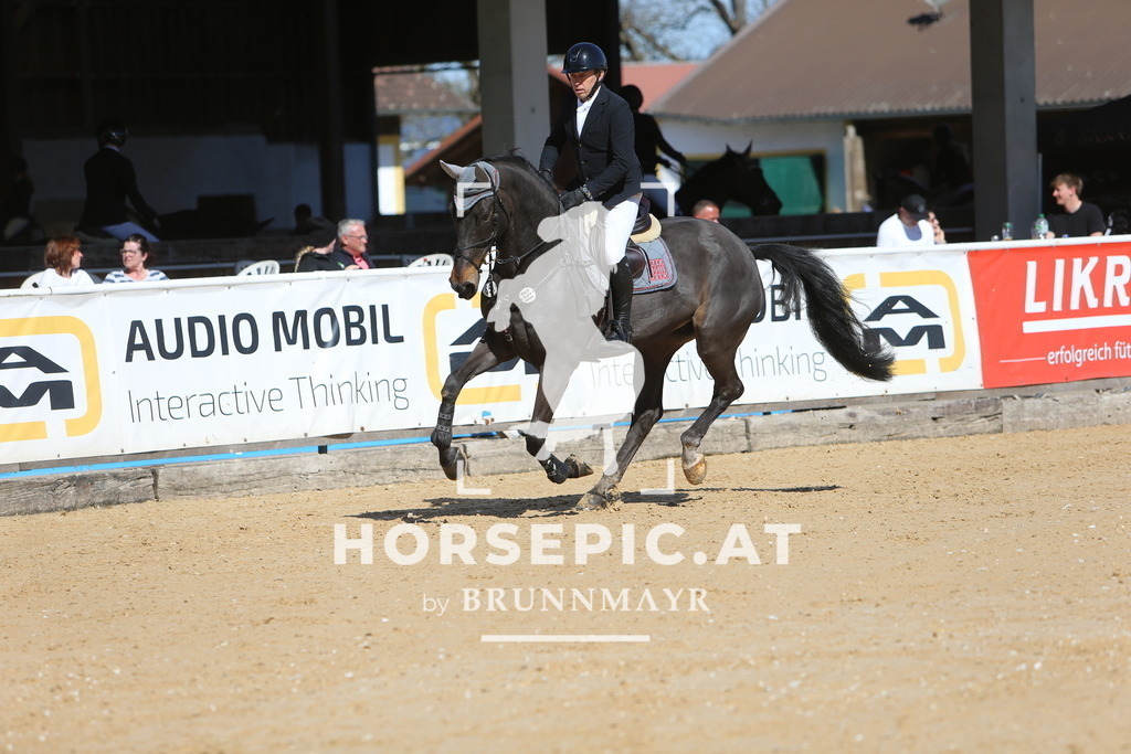 DL2Q4590 | Willkommen bei Brunnmayr - Design & Fotografie – Ihrem Spezialisten für Reitturniere und Pferdeveranstaltungen in Oberösterreich, Salzburg und Bayern! Seit über 17 Jahren sind wir leidenschaftlich dabei.