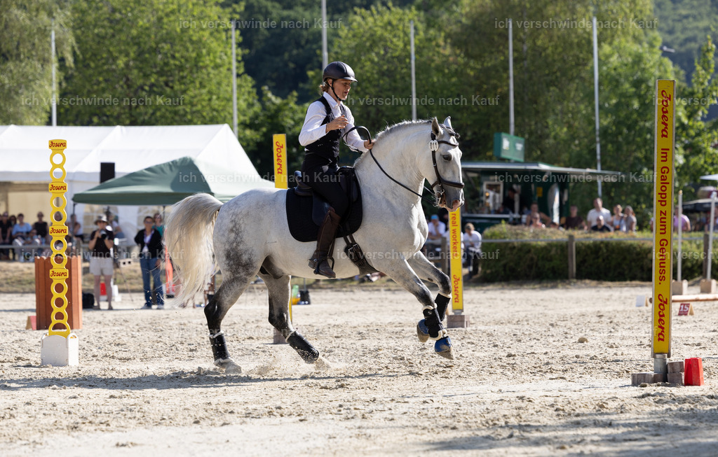 WS_SPEED_11_KerstinBernhardt-4 | working equitationturnier fotograf videograf stoibphotography marixx film working equitation deutschland reitsport turnierfotografie eventfotografie equestrian events