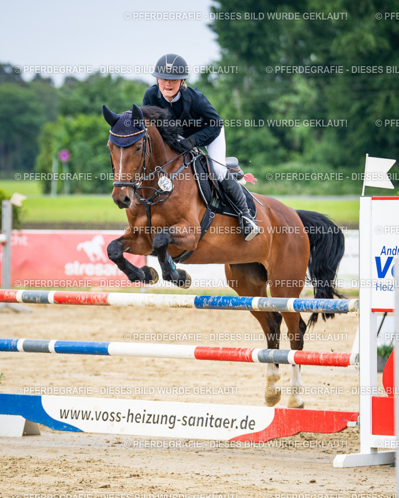 DSC04967 | Pferdegrafie